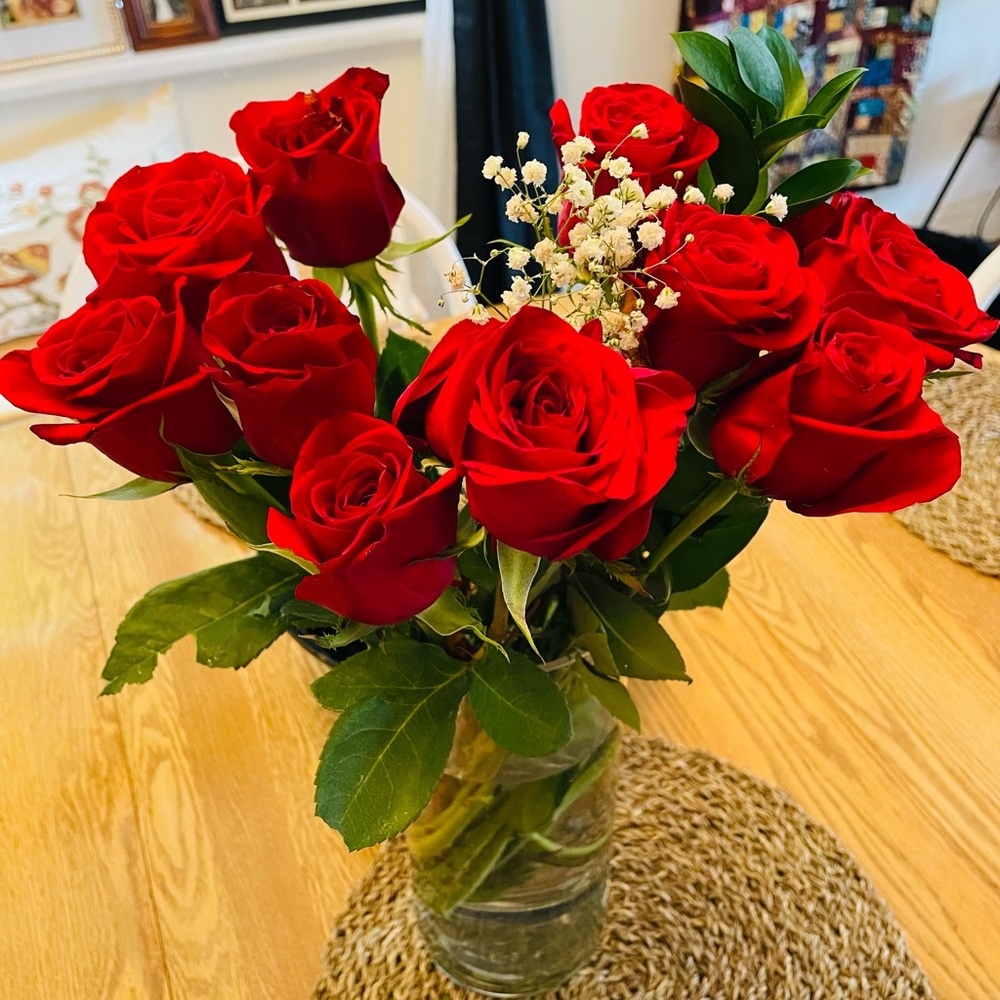 Meet your Posher, Holly